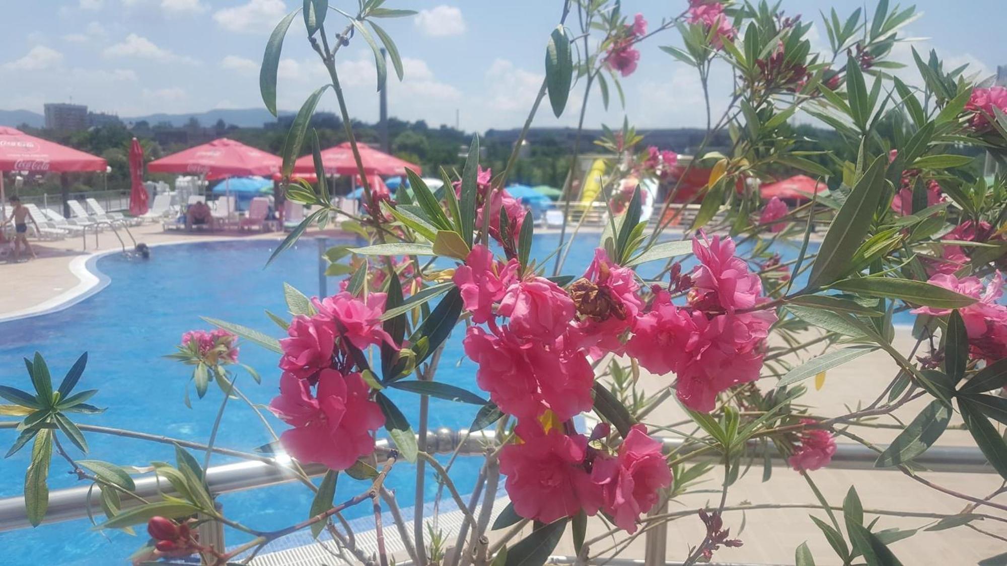 Hotel Aqua Kyrdżali Zewnętrze zdjęcie